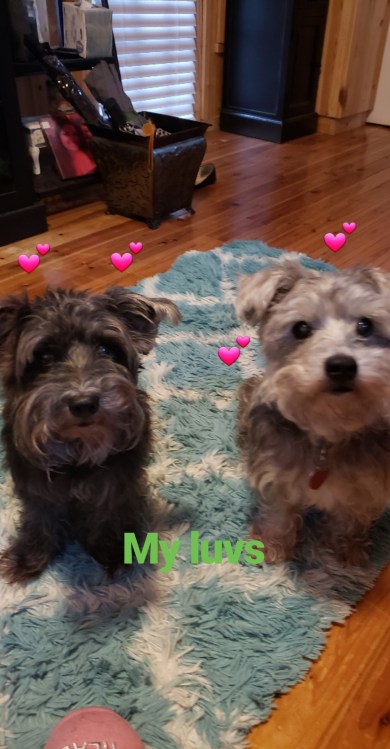 IMG_20180809_205919_949