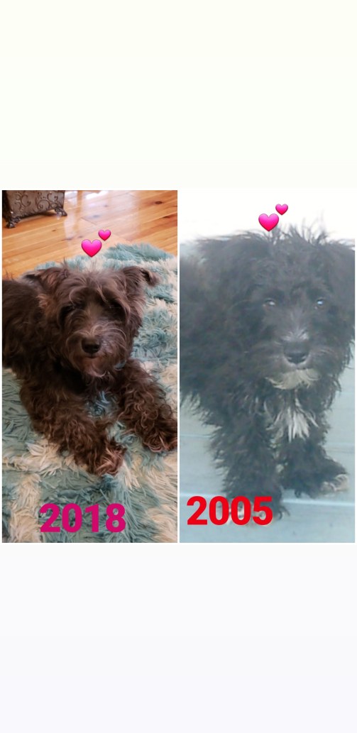 IMG_20181115_103850_919