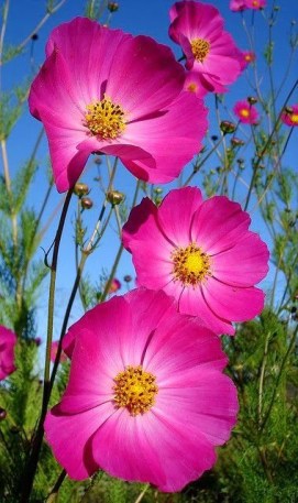 f1220e0e5541b3e59d78feda79754db2