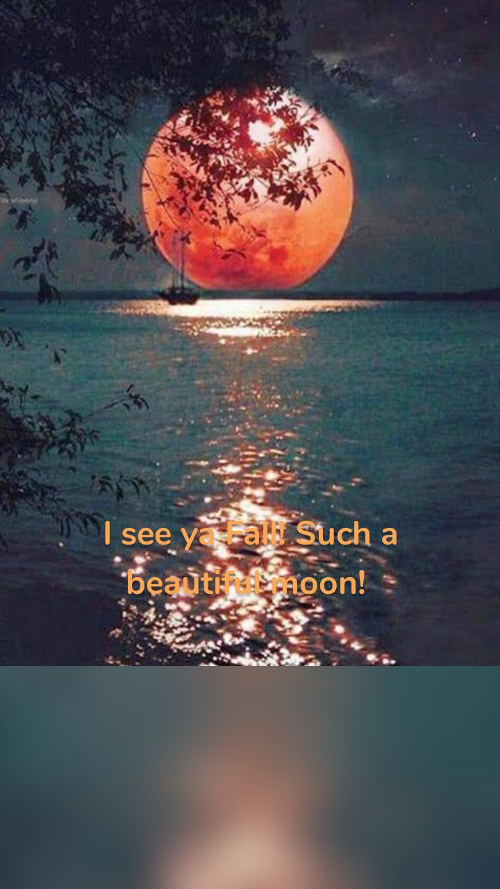 I see ya Fall! Such a beautiful moon! 
